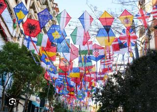 Private Apartment Tirana Center - 3