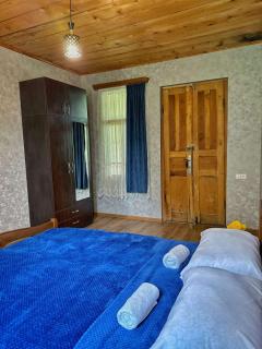 guest house zizi - Ambrolauri - 1