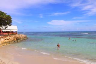 Le Flamboyant de Delna - 3