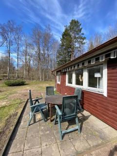 Upptäck skogens skatt i Hökensås! - Tidaholm - 8
