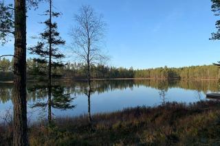 Upptäck skogens skatt i Hökensås! - 4