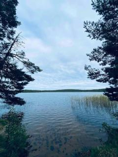 Upptäck skogens skatt i Hökensås! - 2