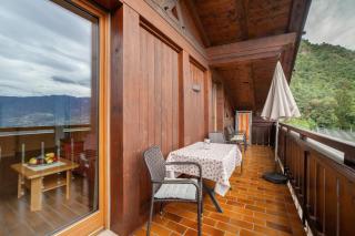 Oberötzbauer Apartment Enzian - 9