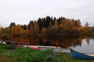 Winter Home near city center - 1