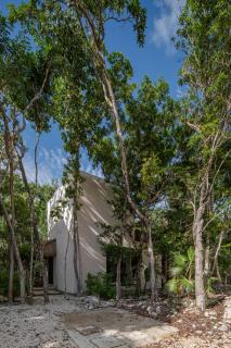 Eco-Friendly Bungalows En La Selva De Tulum - Tulum - 4