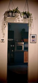 Saint Jack Luxury - Trieste - 1