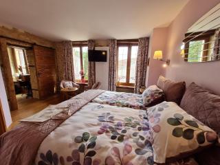 Chambre confortable avec salle d'eau privative - FR-1-584-326 - 3