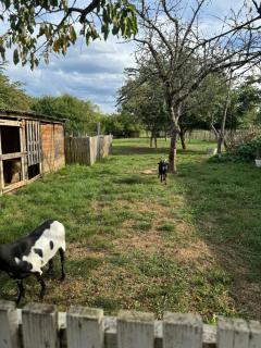Chez Nath - Roggenhouse - 3