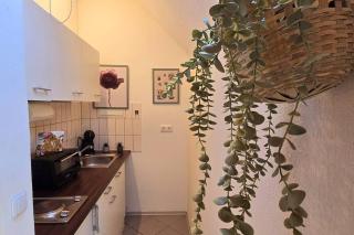 Appartment Mutterstadt Oase - MIS - Mutterstadt - 1