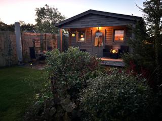 Chalet in het groen met airco - Drachtstercompagnie - 9