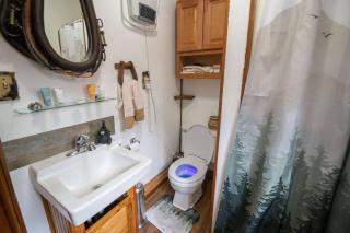 Black bear cabin with blow up hot tub - Necedah - 7