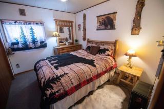 Black bear cabin with blow up hot tub - Necedah - 5