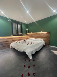 Le Cristal SPA Montvernier - Montvernier - 6