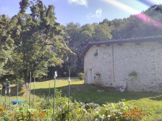 Gîte le Coumis - Saint-Salvy-de-la-Balme - 6