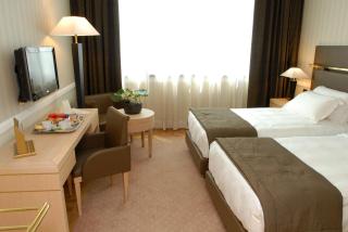 Grand Hotel Duca Di Mantova - Sesto San Giovanni - 8