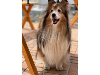 THE RETREATMENT YUGAWARA - Vacation STAY 91406v - 3