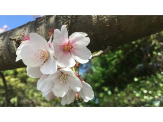 THE RETREATMENT YUGAWARA - Vacation STAY 86817v - 6