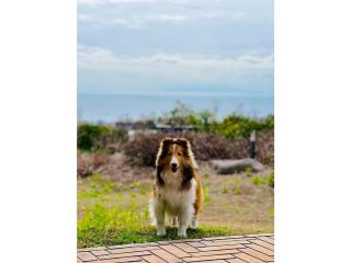 THE RETREATMENT YUGAWARA - Vacation STAY 91406v - 2