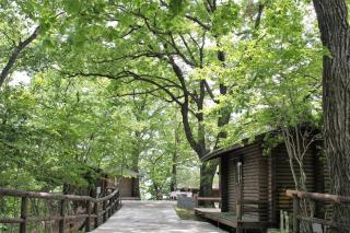 Shomarutoge Garden House - Vacation STAY 91573v - - 9