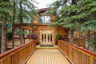 Denali Crow's Nest Cabins - McKinley Park - 9