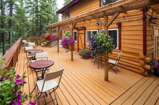 Denali Crow's Nest Cabins - McKinley Park - 8