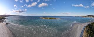 Diamond Island Resort, Restaurant & Bar and Penguin Show - Bicheno - 7