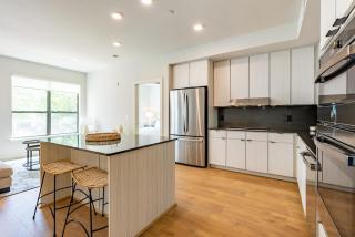 UBP-Luxe Corporate 1 bd Apt in Montrose Midtown - Houston - 4
