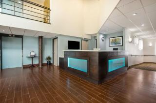 Best Western Little River Inn - Simcoe - 5