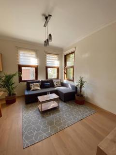 Stylish & Comfort Apartment in Ortaköy - Istambul - 4