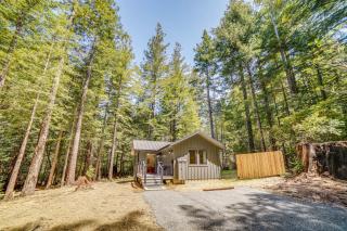 Peaceful Mendocino Cottage Surrounded By Redwoods - 8