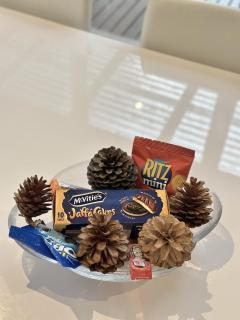 Spacious Family Home Near Melbourne CBD - 5