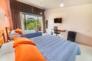 Hotel Secreto La Fortuna - Fortuna - 8