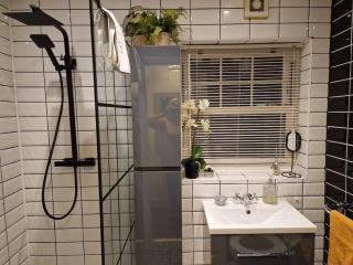 Trinity Cottage 2 bed with mezzanine - Dublino - 8