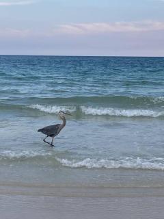 Gulf Breeze Tranquil Retreat 10 min to Beach RV boat jet ski parking - Gulf Breeze - 8