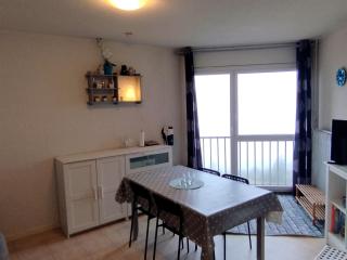 Studio cosy aux Adrets-Prapoutel, pied des pistes, ascenseur, TV et casier à ski - FR-1-771-64 - 1