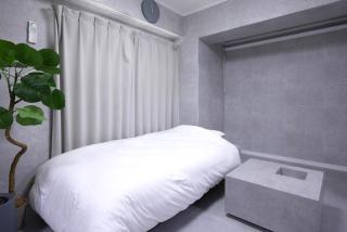 Modern Room, Projector, 1 line to Asakusa, 5 mins walk from Togoshi-ginza Sta - 3