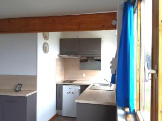 Appartement 4 pers, 1 chambre, proche pistes, ascenseur, balcon - FR-1-411-949 - Bourg-Saint-Maurice - 6