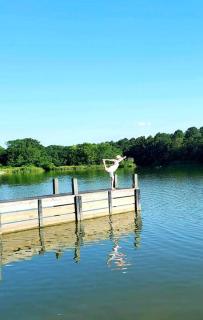 Tranquility 2 bedroom Villa by the lake with green backyard - Staley - 9