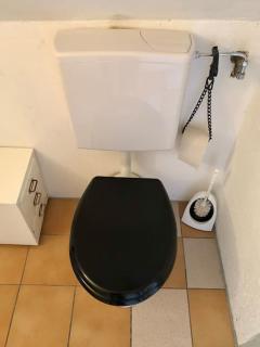 Der optische Hof - - 1