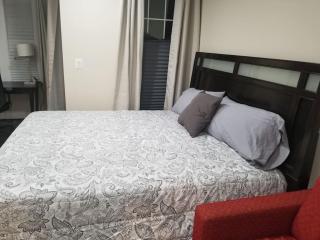 Beautiful New 4 Bedroom 3 Bath Family Home Or 1 BR Apt Nr Howard U Downtown NW DC - Washington - 4