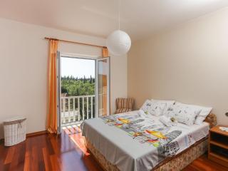 Villa Harmonia with patio and shared pool - Čilipi - 5