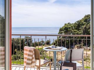 Apartments Villa Lukas - ''No 11'' Gallery Studio Apartment with Balcony and Sea View - Cavtat - 1