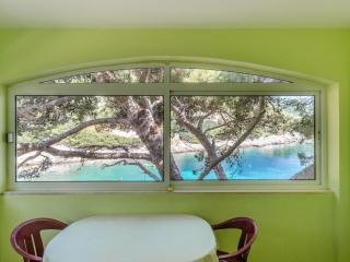 Seafront Apartments Olivera-Standard One Bedroom Apartment with Balcony and Sea View Valentina - Vela Luka (Vallegrande) - 9