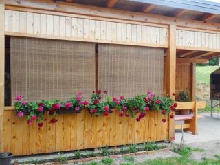 Apartments & Rooms Renduli - Two bedroom Suite with shared Terrace - Rakovica - 1