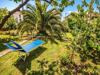 Apartments Amalia - Two Bedroom Apartment with Terrace - Zadar - 1