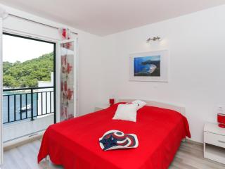 Apartments Posta - Deluxe One-Bedroom Apartment with Balcony and Sea View - Apartman 8 - Saplunara - 6