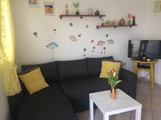 Apartments Roko ST - Economy One Bedroom Apartment with Shared Terrace A2 - 8