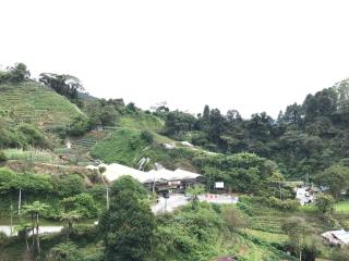 The Retreat Mountain n Sunrise view Hilltop Hotel Apartment in Cameron Highlands - Brinchang - 9