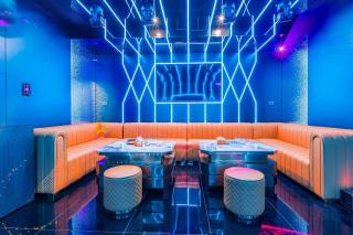 市区独栋豪华别墅内含泳池ktv - 5