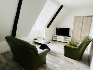 Grand appartement vue montagne - Ayzac-Ost - 3